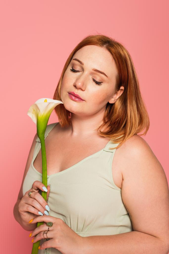 Jovem mulher plus size com olhos fechados segurando calla lírio isolado em rosa  - Foto, Imagem