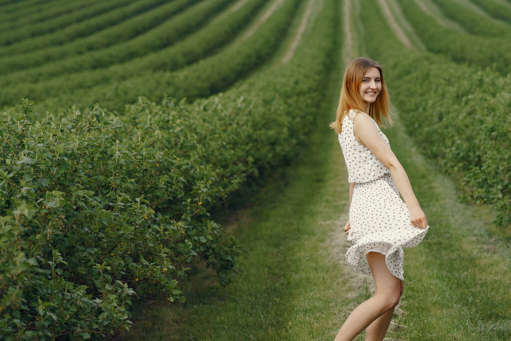 Menina elegante e elegante em um campo de verão - Foto, Imagem