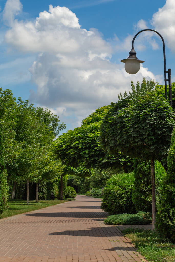 Sidewalk polku puistossa aurinkoisena kesäaamuna keskuudessa vihreitä puita. Aamukävely. - Valokuva, kuva