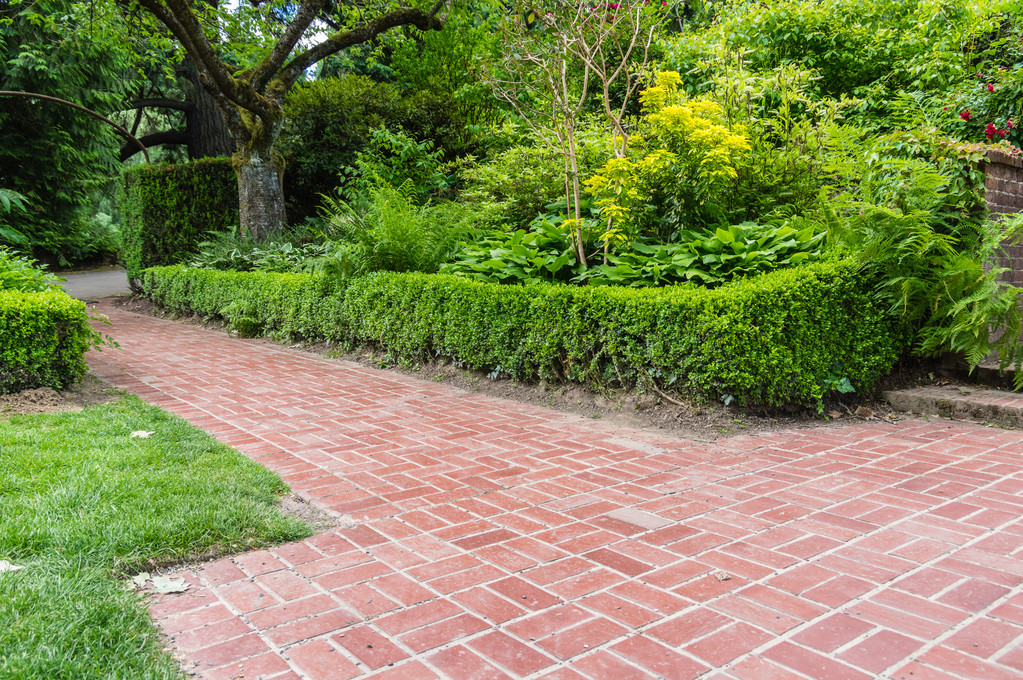 Sebe verde e caminho de tijolo em um jardim
 - Foto, Imagem