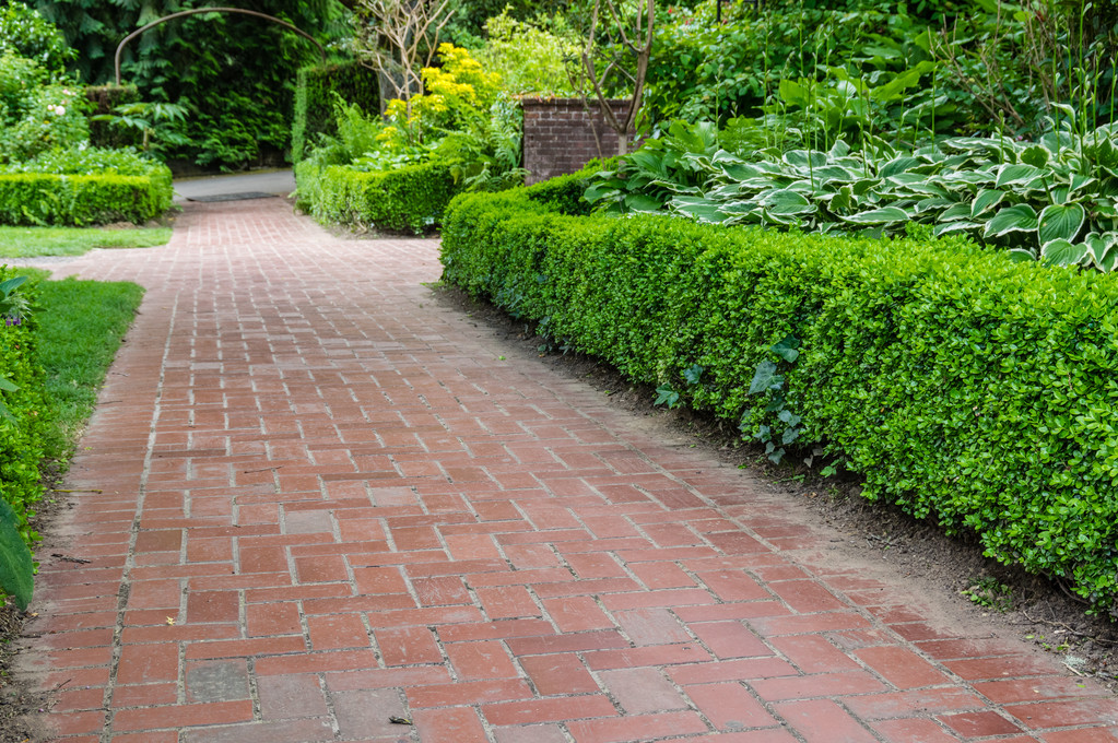 Chemins de briques à travers un jardin
 - Photo, image