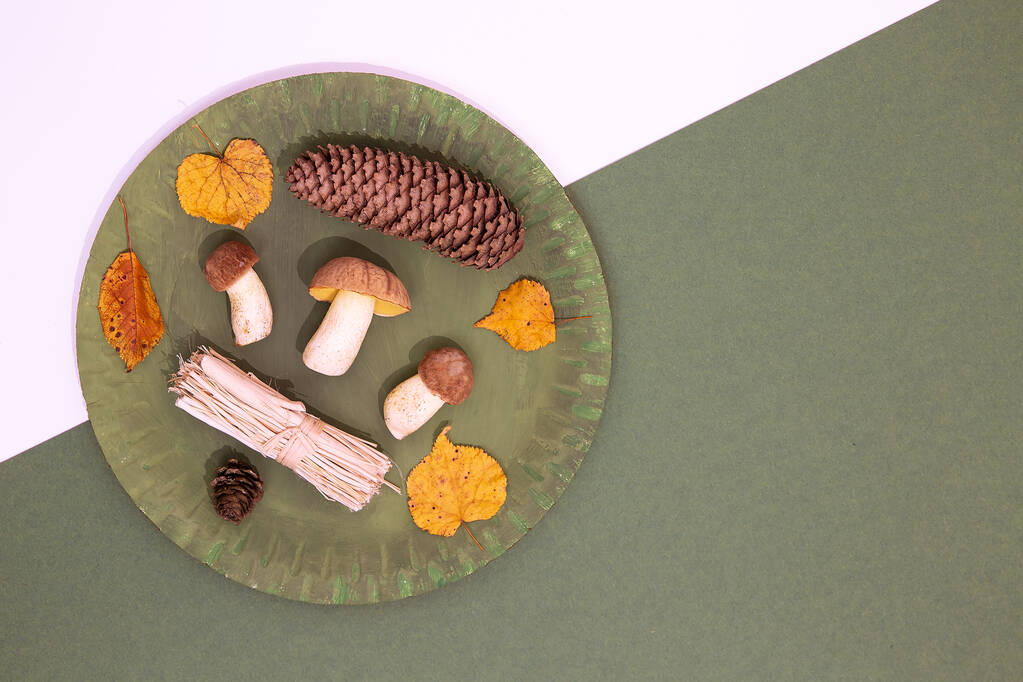 Jesienna minimalistyczna scena. Jesień zima Wystrój grzybów i liści na zielonym talerzu i tle geometrii papieru. Koncepcja sezonowa. Stylowy płaski baner lay - Zdjęcie, obraz