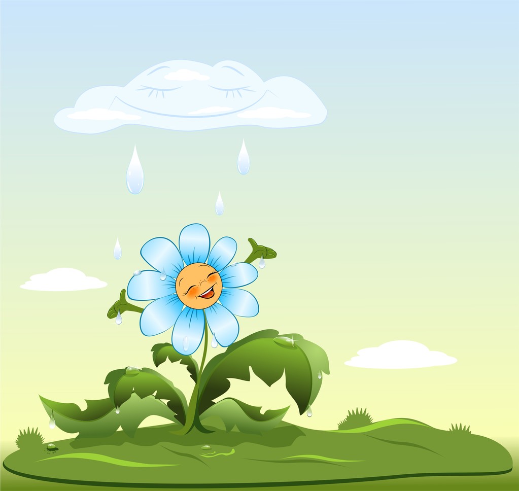 λουλούδι χαίρεται βροχή - Φωτογραφία, εικόνα