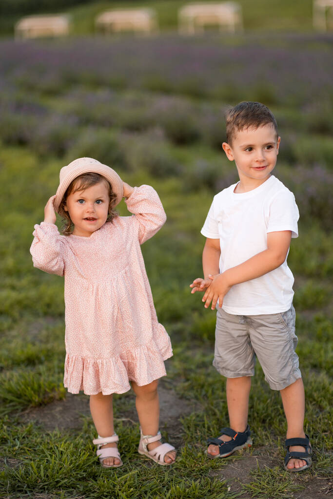 mały chłopiec i dziewczyna zabawy na polu kwiatów - Zdjęcie, obraz