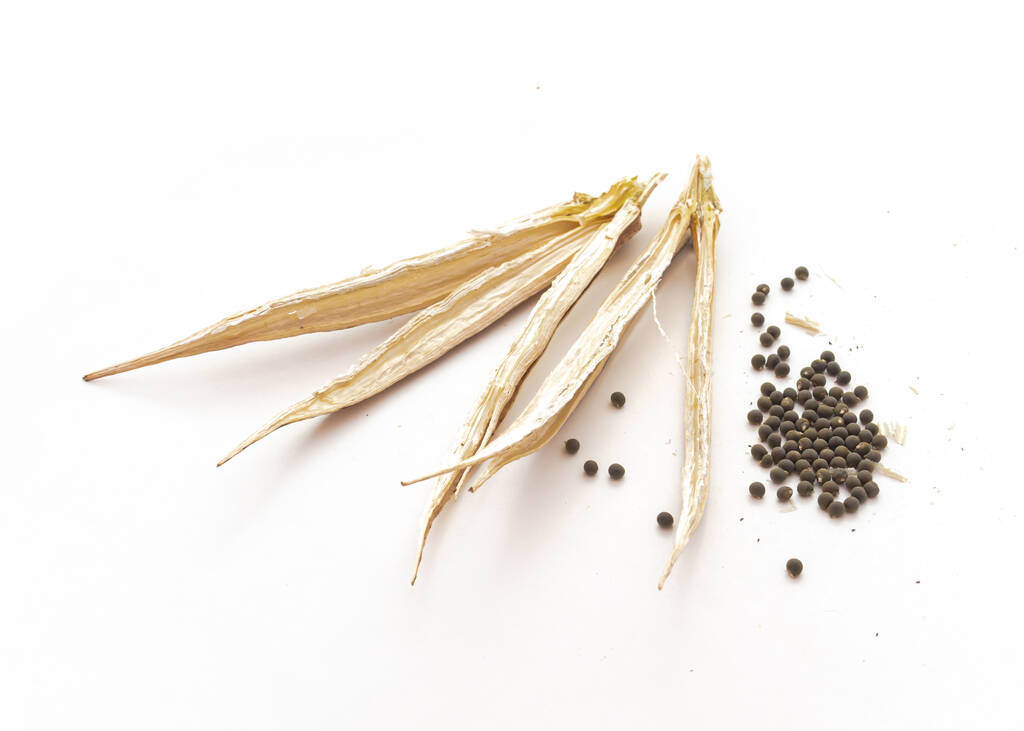 Cialde di okra pelate con semi pronti per essere piantati isolati su bianco - Foto, immagini