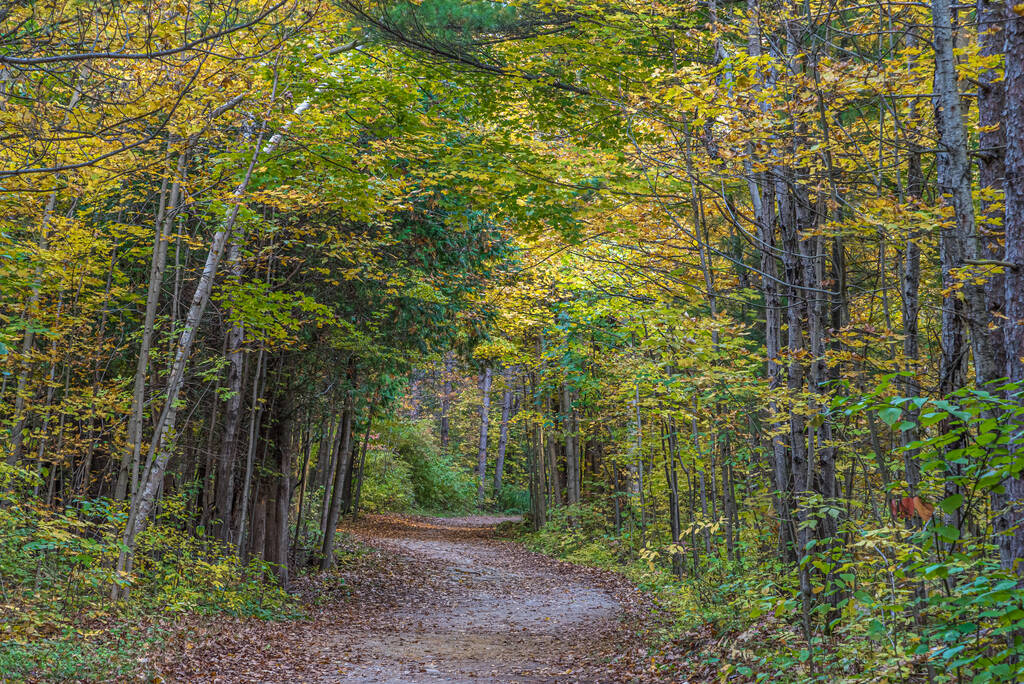 Pake το φθινόπωρο κοντά στο Τορόντο, Καναδάς - Φωτογραφία, εικόνα