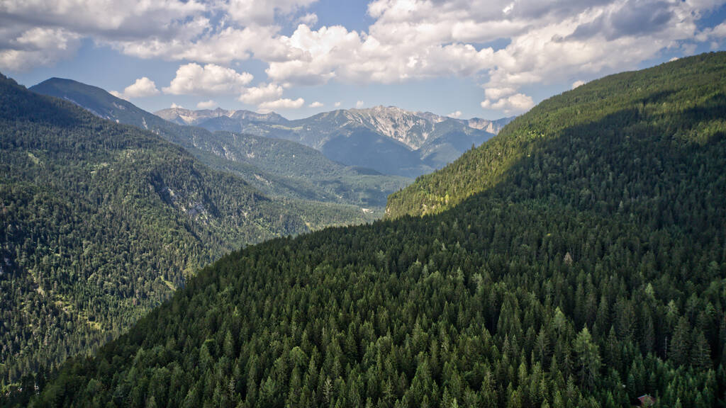 Güneşli bir günde yüksek kayalık dağlar ve yeşil sık ormanlar manzarası - Fotoğraf, Görsel