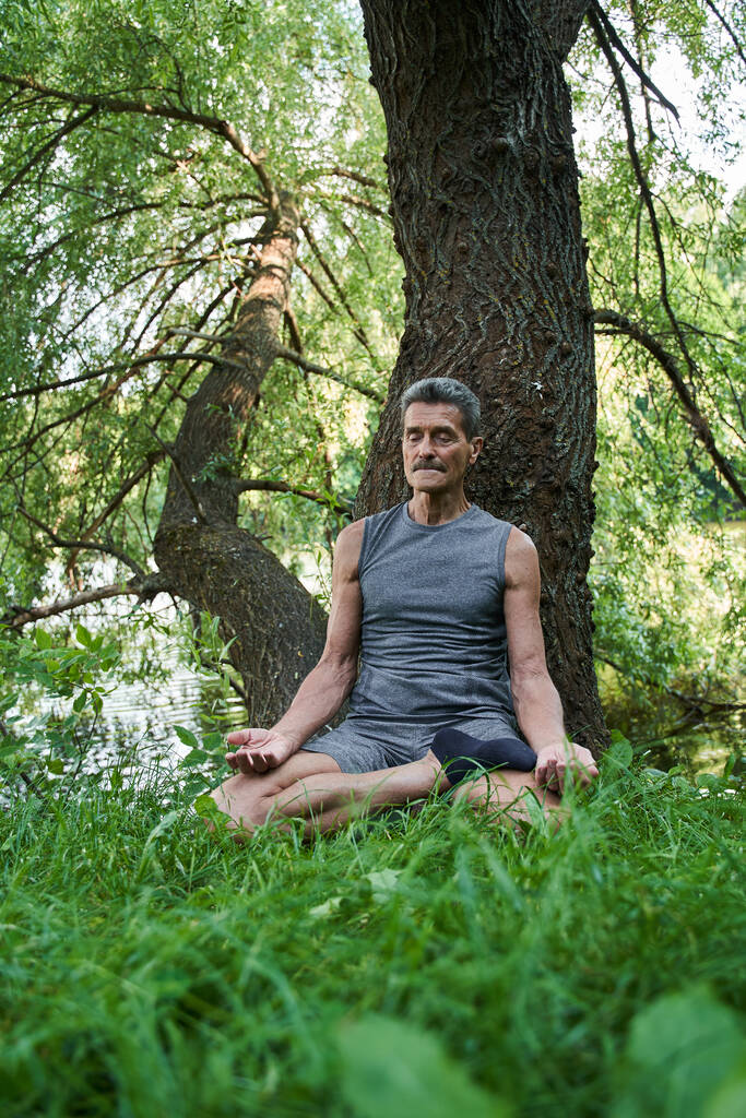 Serene mature man enjoying meditation around the trees - Photo, Image