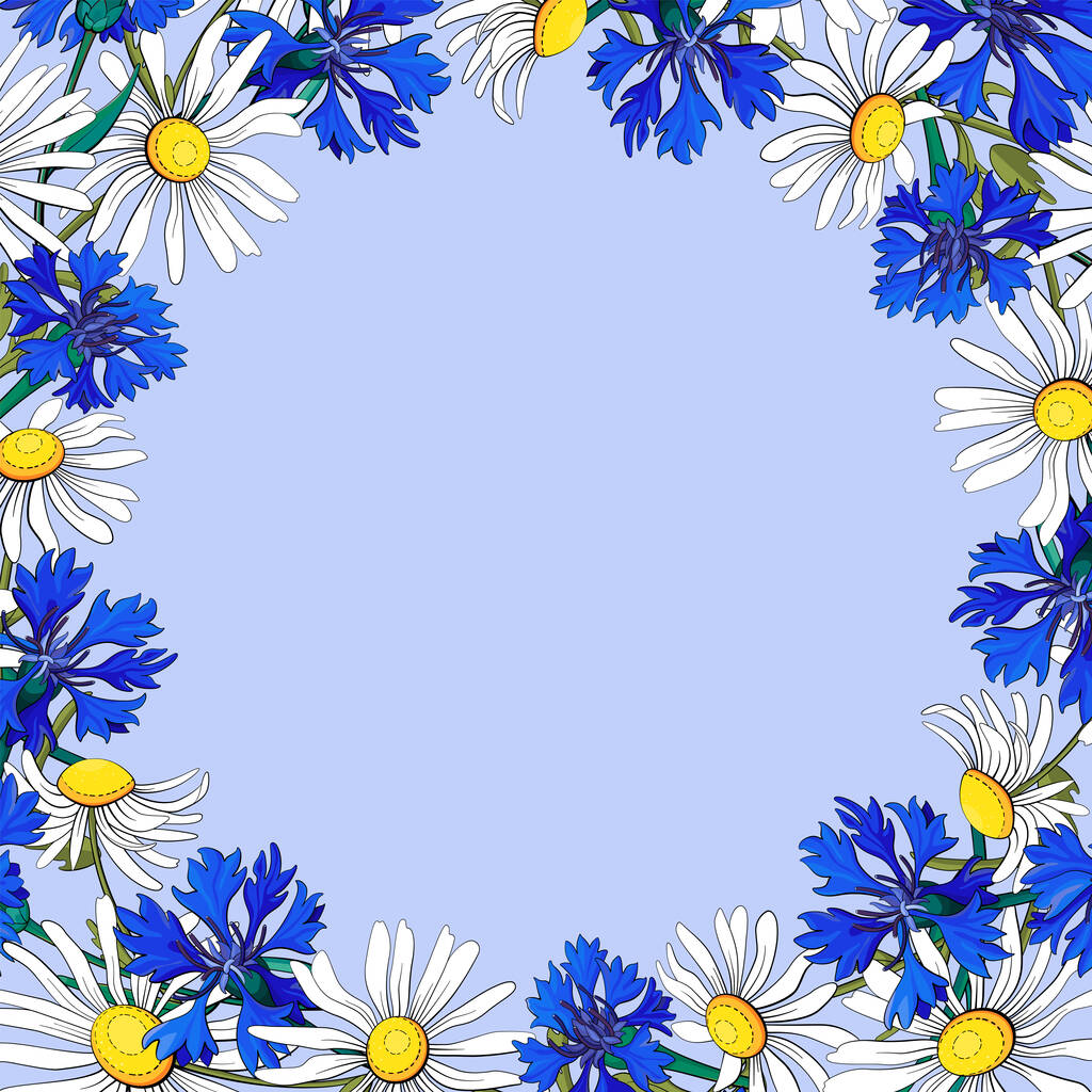 Quadratischer Rahmen mit Kornblumen und Gänseblümchen. Vektorabbildung auf blauem Hintergrund. - Vektor, Bild