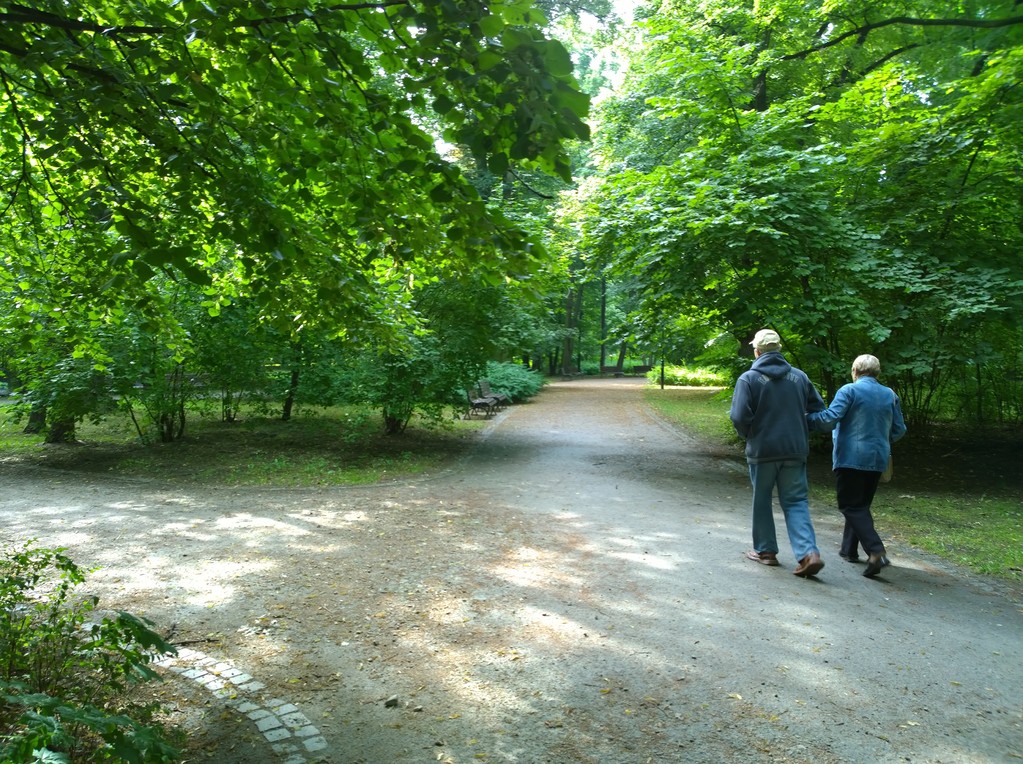 senioren koppel in het park - Foto, afbeelding