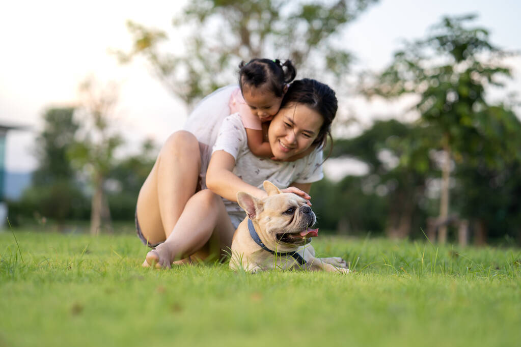 Ein kleines thailändisches Mädchen mit ihrer Mutter und einer hübschen französischen Bulldogge im Park - Foto, Bild