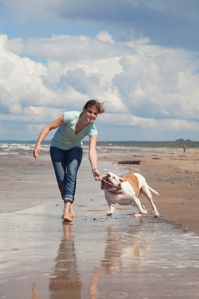 köpek ile tatil - Fotoğraf, Görsel