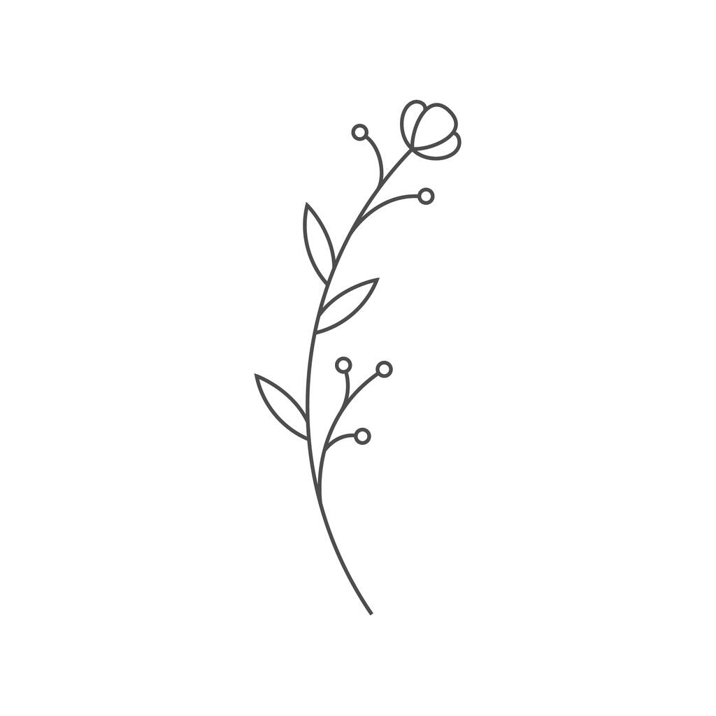 Obrys ručně kreslených květin. Květinové prvky pro kreativní a grafický design, tisky, dekorace, scrapbooking. Plochý styl - Vektor, obrázek