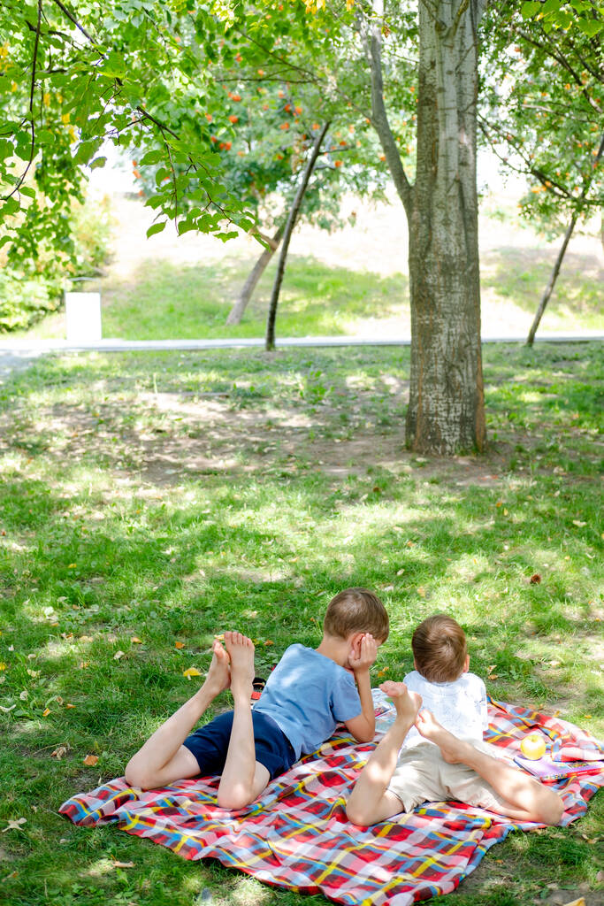 Zwei Jungen liegen auf einer Decke in einem grünen Park. Kinder lesen im Park ein Buch, das auf dem Boden liegt. Kinder picknicken im Sommer und lesen Bücher. Sommerferien. Fernstudium in der Natur. - Foto, Bild