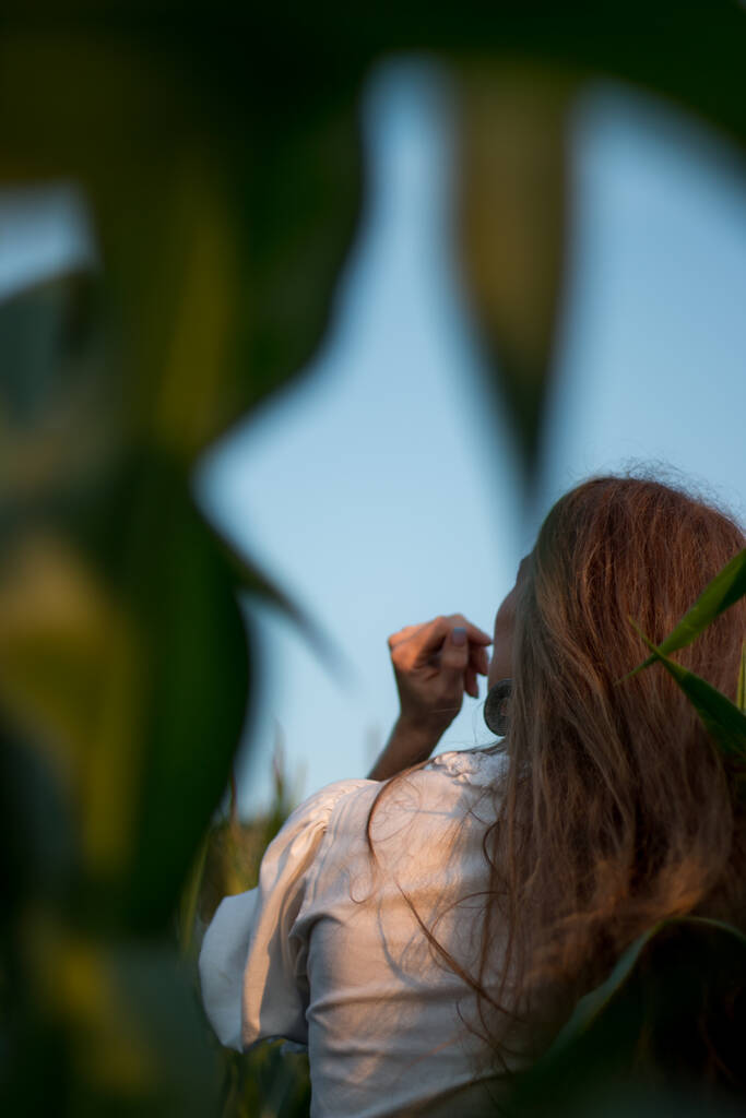 Junge schöne Frau mit langen roten Haaren zwischen grünen Blättern auf einem Maisfeld im Sommer, im Licht der untergehenden Sonne. - Foto, Bild