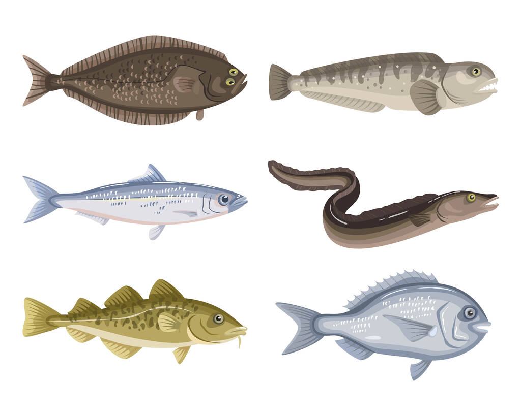 Conjunto de diferentes peces de dibujos animados sobre fondo blanco. Colección de mariscos. Ilustración vectorial. - Vector, Imagen