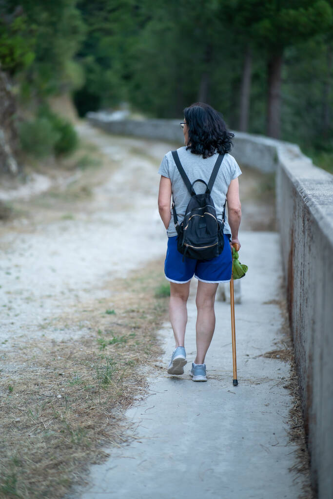 Un disparo vertical de una hembra con una mochila caminando en un parque con un palo - Foto, Imagen