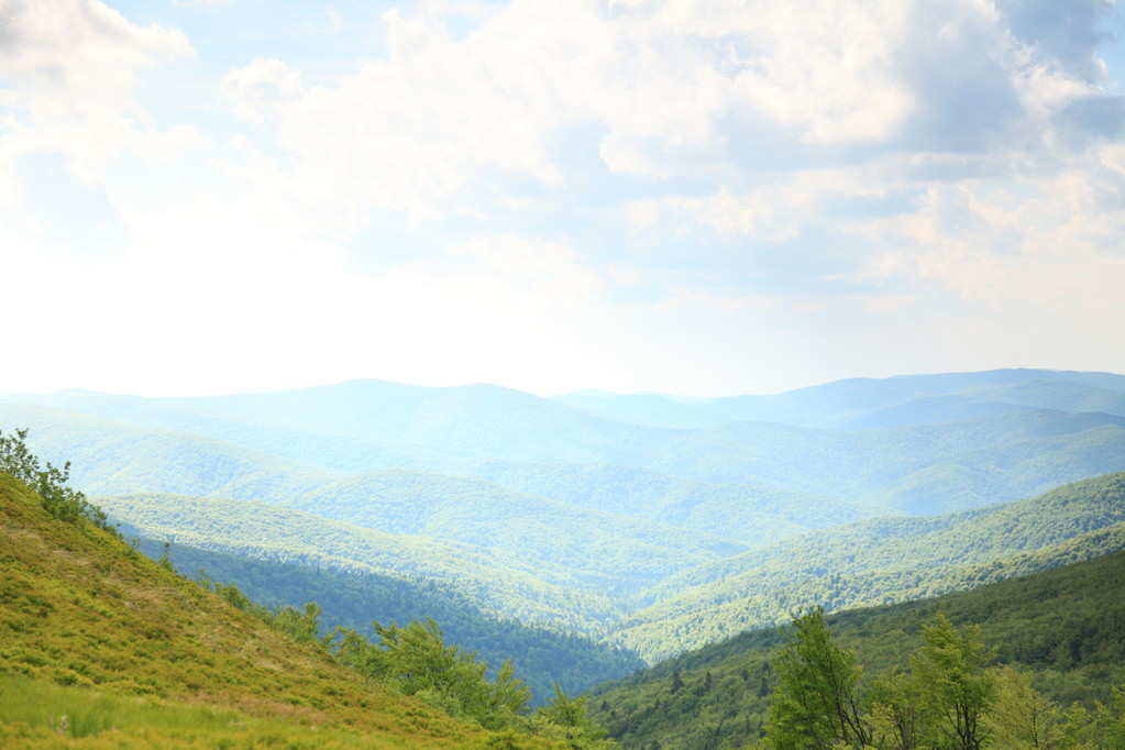 Paysage de montagne vert en été
 - Photo, image