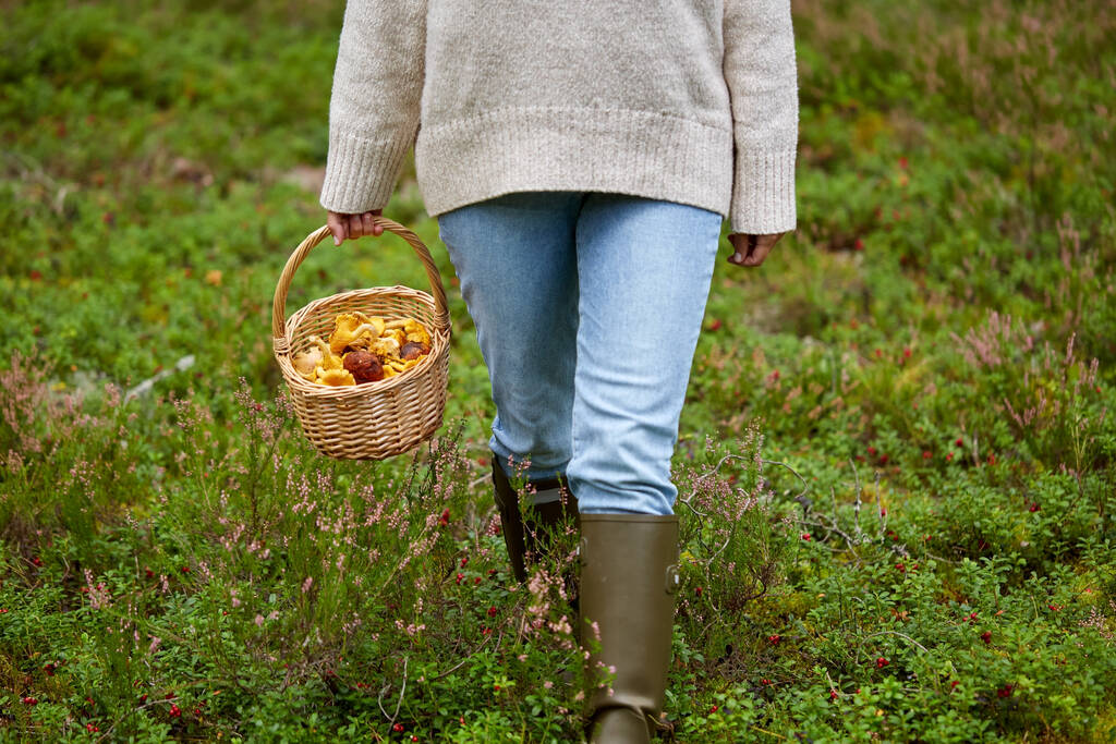 γυναίκα με καλάθι μαζεύοντας μανιτάρια στο δάσος - Φωτογραφία, εικόνα