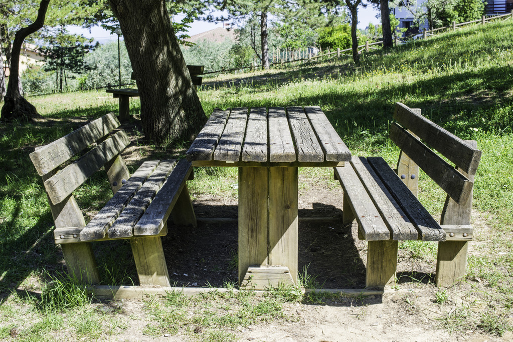 Деревянные скамейки и стол в лесу
.  - Фото, изображение