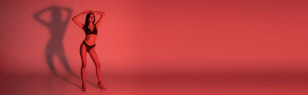 plná délka sexy žena v krajkové spodní prádlo a podpatky pózování na červené, banner - Fotografie, Obrázek