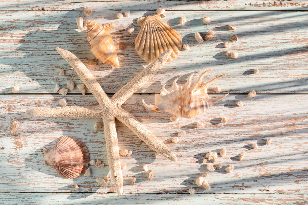 coquillages et étoiles de mer sur le fond en bois. Été, concept de voyage - Photo, image
