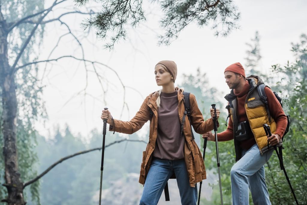 couple in hats holding hiking sticks while trekking in forest - Fotoğraf, Görsel