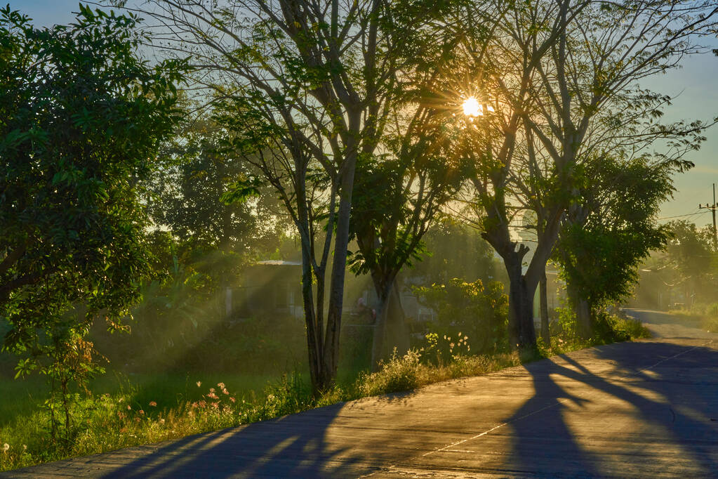 Wiejska droga podczas zachodu słońca - Zdjęcie, obraz