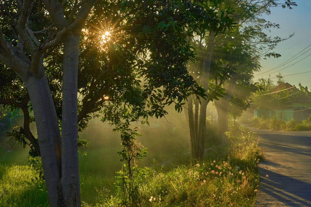 Vidéki út naplementekor - Fotó, kép
