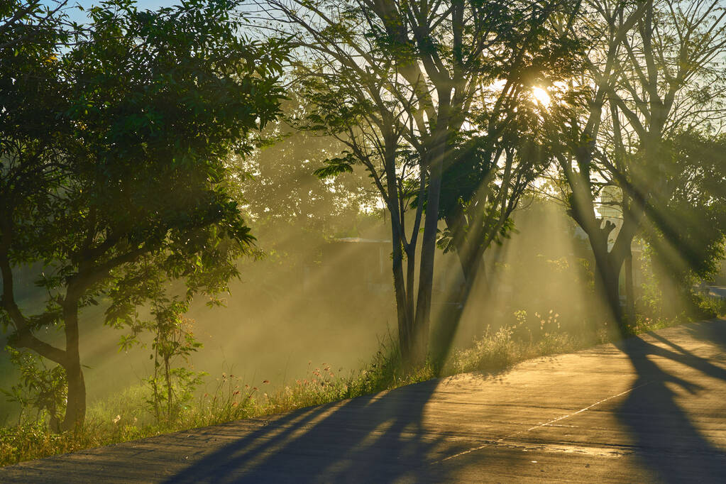 Ένας επαρχιακός δρόμος κατά τη δύση του ηλίου - Φωτογραφία, εικόνα