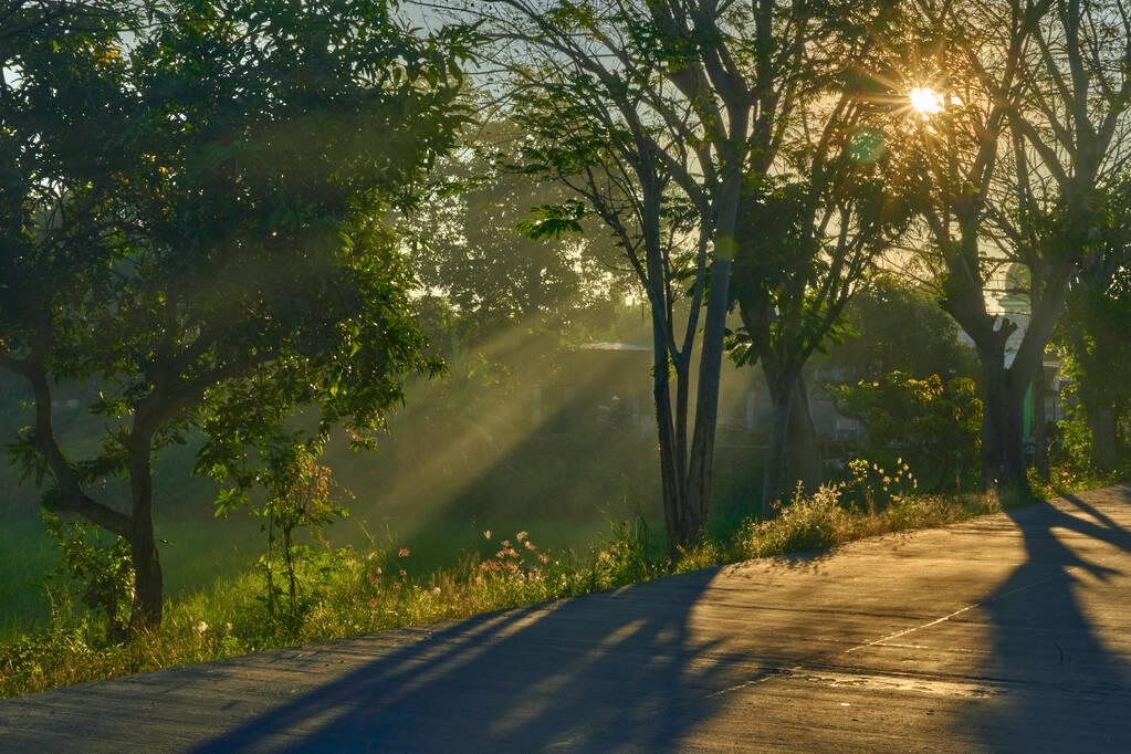Сільська дорога під час заходу сонця
 - Фото, зображення