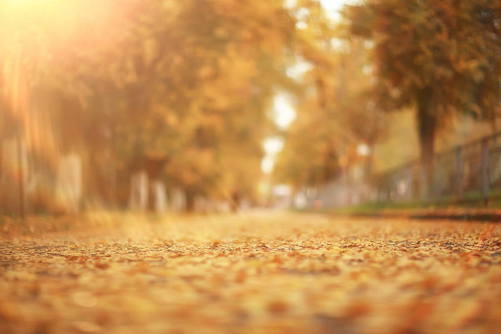 abstracto borroso otoño fondo parque, caída de la ciudad naturaleza octubre - Foto, Imagen
