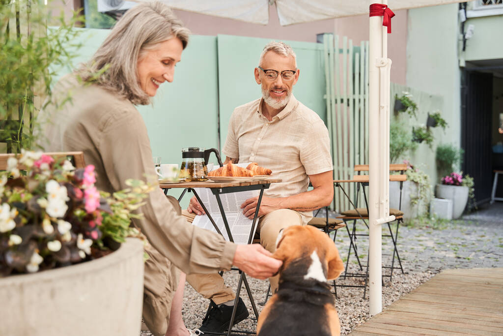 People looking at they beagle dog with tenderness while spending morning - Fotoğraf, Görsel