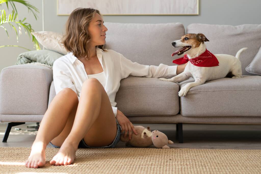 Jeune femme et son chien sur le canapé à la maison. Adorable animal domestique. - Photo, image