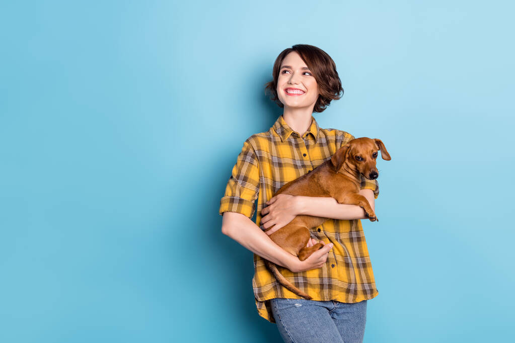 Foto van dromerig meisje knuffelen teckel hond look lege ruimte slijtage geruite geruit shirt geïsoleerde blauwe kleur achtergrond - Foto, afbeelding