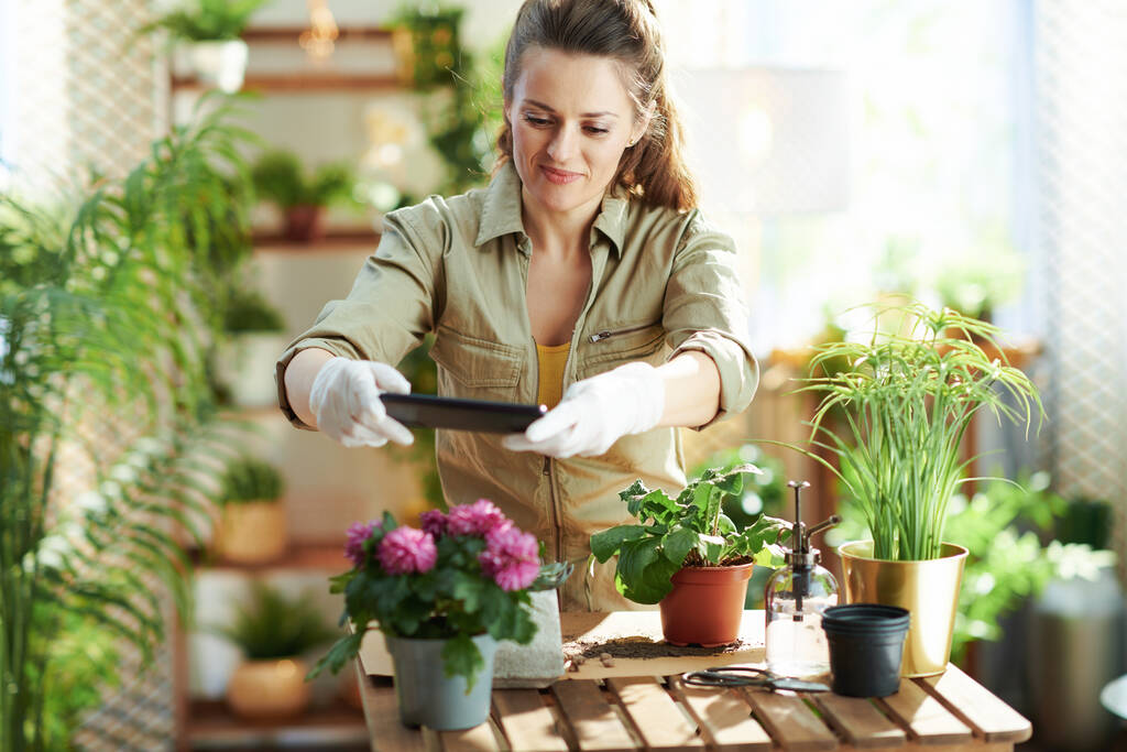 Relaksujące ogrodnictwo. nowoczesna kobieta w białych gumowych rękawiczkach z rośliną doniczkową robiąca zdjęcia przy użyciu smartfona w nowoczesnym domu w słoneczny dzień. - Zdjęcie, obraz