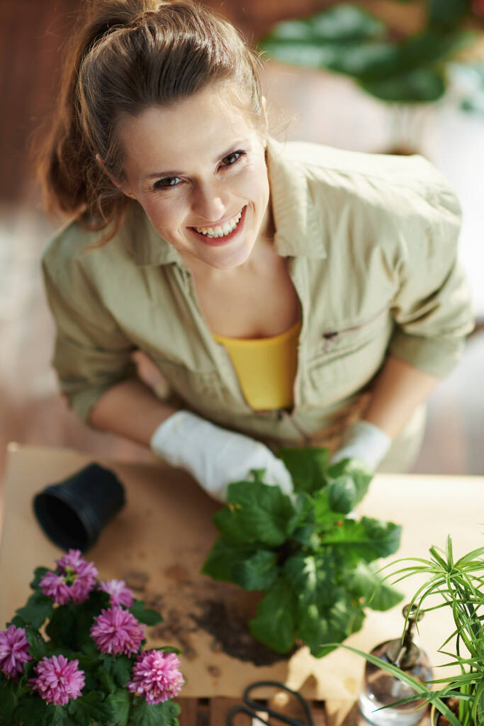 Relaxando jardinagem em casa. Vista superior da mulher moderna feliz em luvas de borracha branca com planta envasada fazer jardinagem na casa moderna no dia ensolarado. - Foto, Imagem