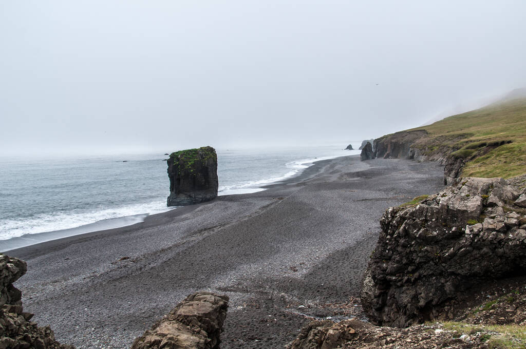 Una hermosa toma de acantilados rocosos en una playa en Islandia en un día de niebla - Foto, Imagen
