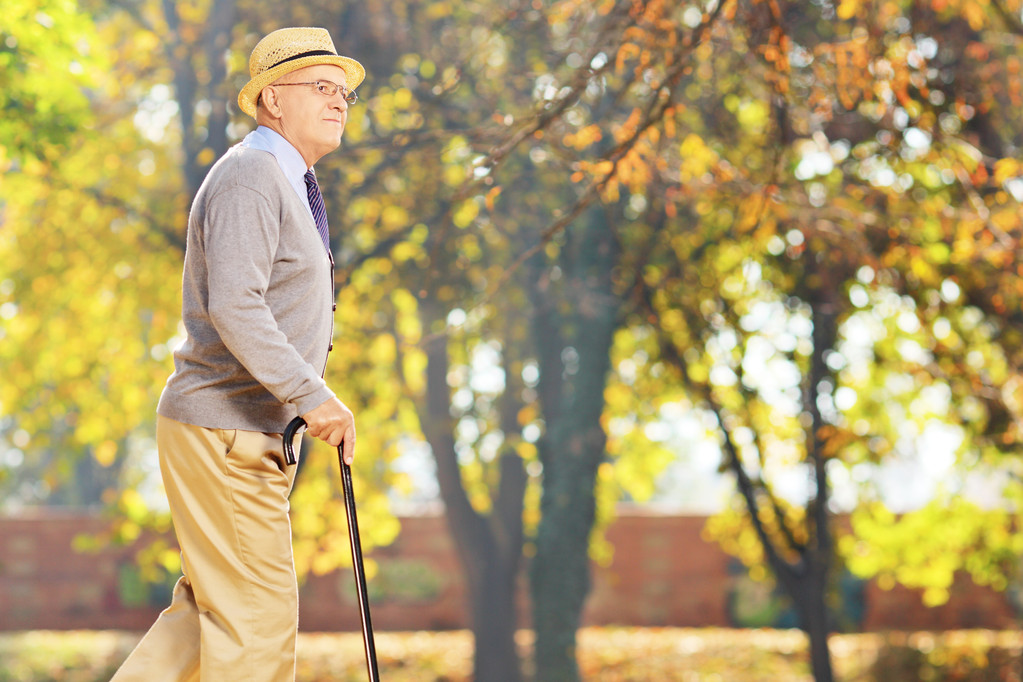 starší pán, procházky v parku - Fotografie, Obrázek