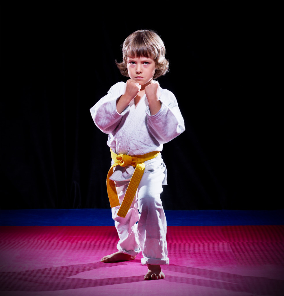 Little boy aikido fighter - Photo, Image