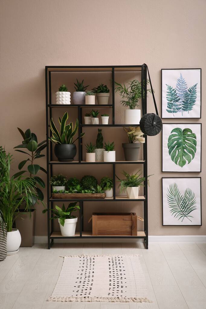 Stilvolles Interieur mit vielen schönen Zimmerpflanzen - Foto, Bild