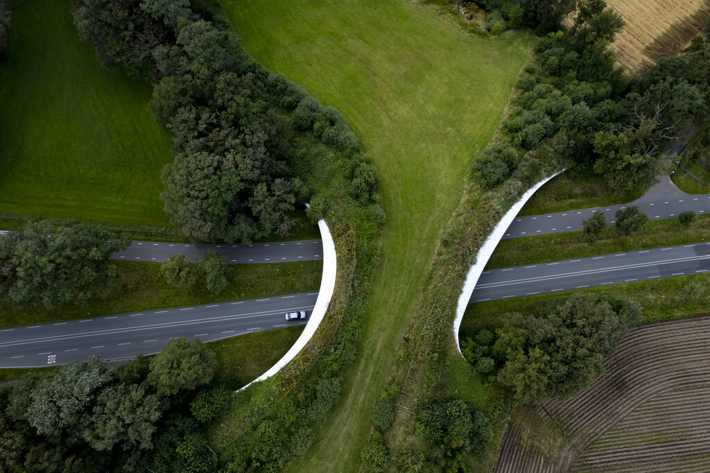 Carretera atravesada por cruce de vida silvestre que forma un puente de corredor natural seguro para que los animales migren entre áreas de conservación. - Foto, imagen