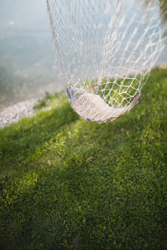 kalastaja pitää kalaa verkossa, jonka verkko on lähellä järveä - Valokuva, kuva