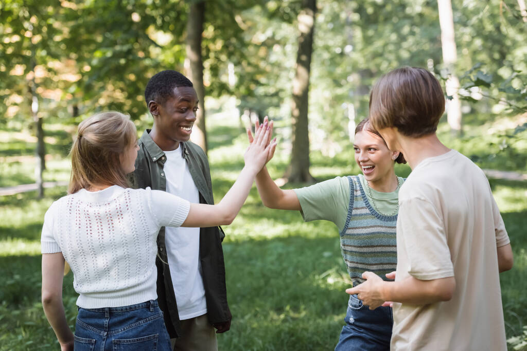 Uśmiechnięte nastolatki dając przybij piątkę blisko międzyrasowych przyjaciół w parku  - Zdjęcie, obraz