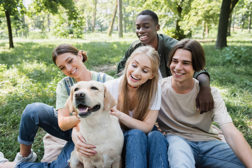 Smiling interracial teenagers petting retriever in park  - Photo, Image