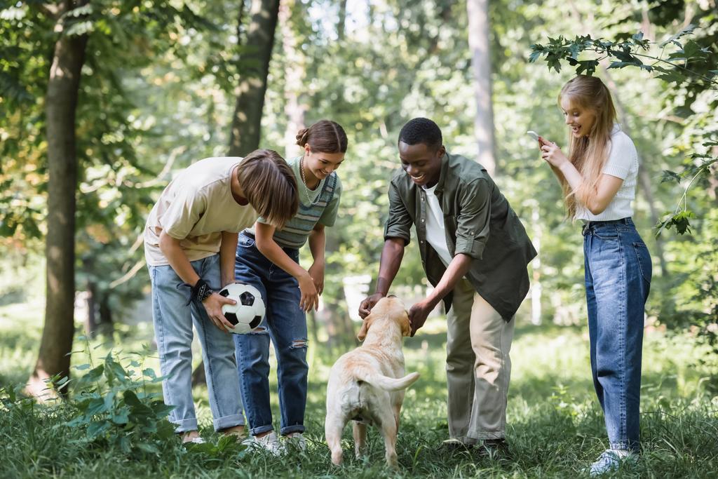 Interracial teenagers with smartphone and football ball petting retriever in park  - Photo, Image