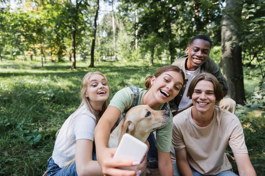 Cheerful teenager taking selfie with retriever and multiethnic friends in park  - 写真・画像