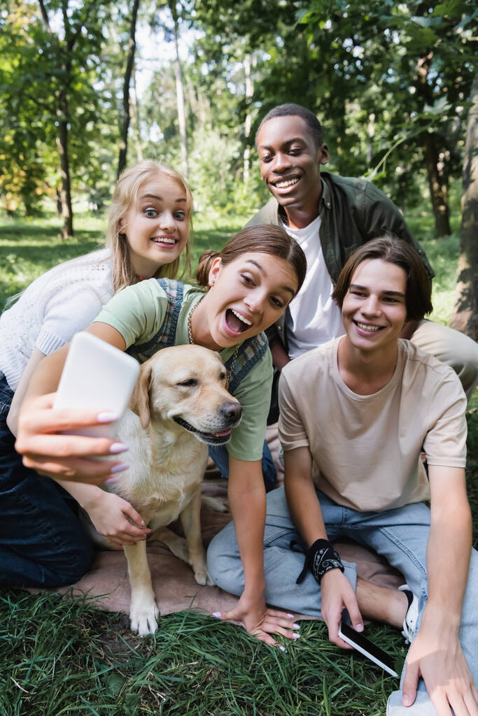 Adolescentes multiétnicos positivos com retriever tomando selfie no celular no parque  - Foto, Imagem