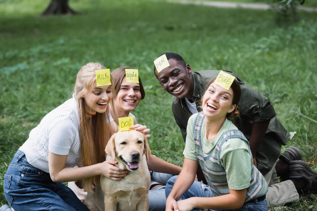 Smiling multiethnic teenagers with retriever playing who i am in park  - Photo, Image