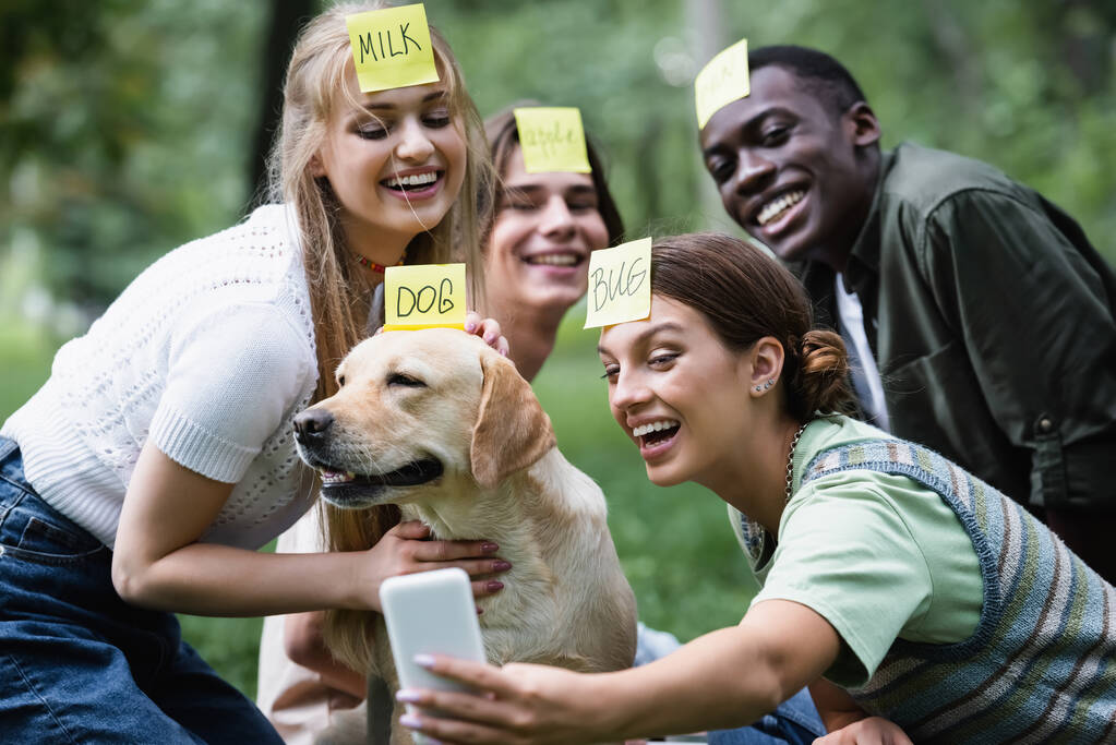 Позитивні багатоетнічні підлітки беруть селфі під час гри, хто я біля ретривера в парку
  - Фото, зображення